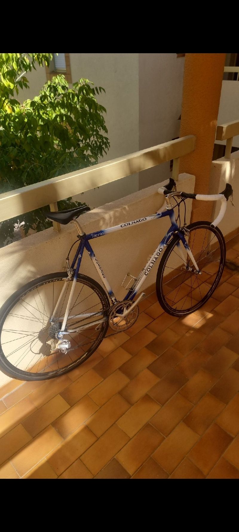 Used Colnago Custom Campagnolo Chorus 1995 Road & Gravel