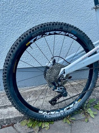 Used Cannondale Cannondale Rush Lefty 2009 Mountainbike, White — image 6 of 6