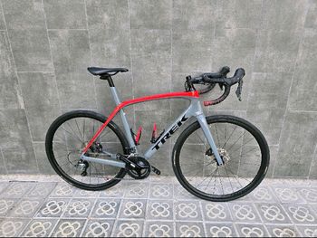 Trek, Domane SL 4 2021