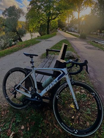 Giant, TCR Advanced 2 2020