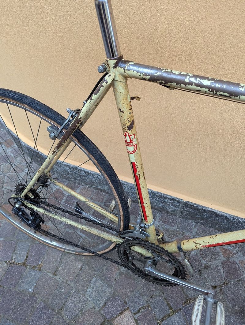 Used Bottecchia Custom Other Campagnolo 1980 Road & Gravel, White — image 8 of 8