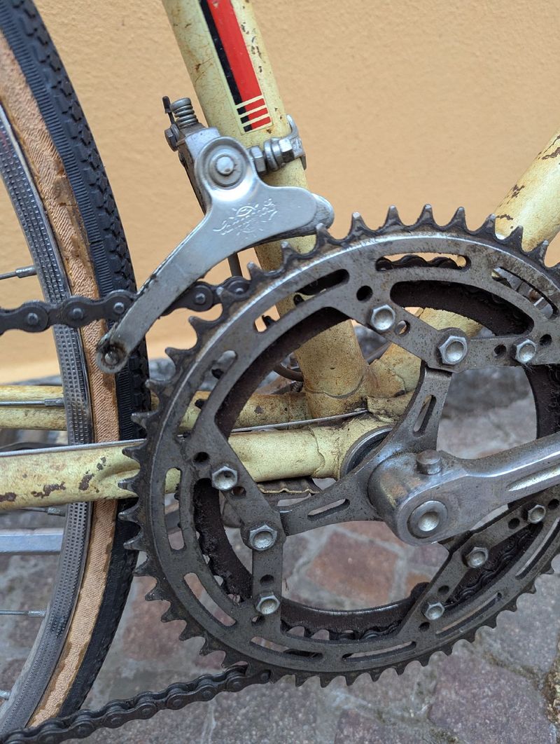 Used Bottecchia Custom Other Campagnolo 1980 Road & Gravel, White — image 6 of 8