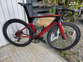 Cannondale, SystemSix Carbon Ultegra 2023
