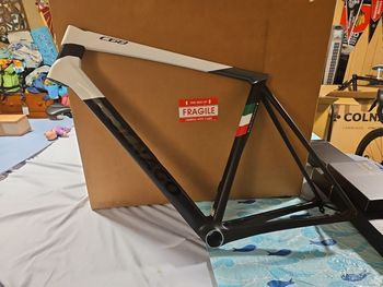 Colnago, C68 Frameset Frameset