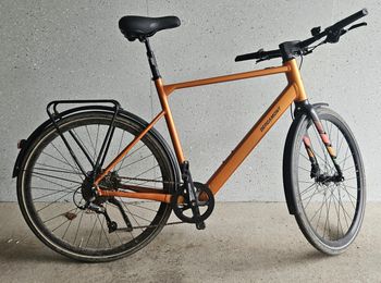 Bergamont, E-Sweep Sport 2024