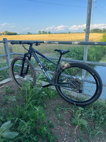 Used CUBE REACTION C:62 PRO 2023 2023 MTB
