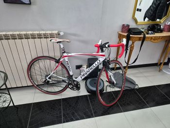 Pinarello, Rokh Campagnolo Centaur