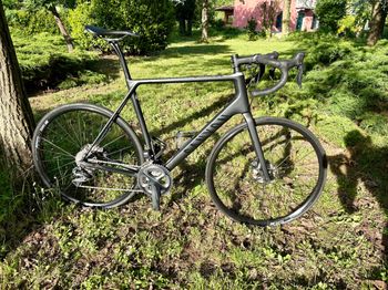Canyon, Endurace CF SL Disc 8.0 Di2 2020