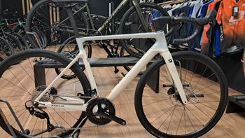 Focus, IZALCO MAX 8.7 2025