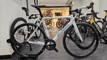 Used scoperta SR8.1 Disc Ultegra 2024 Road & Gravel