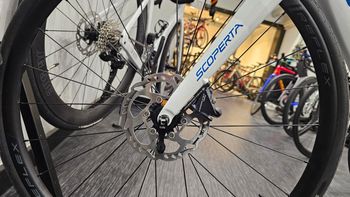 Used scoperta SR8.1 Disc Ultegra 2024 Road & Gravel, Weiß — image 8 of 19