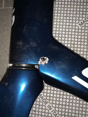 Used Spezzotto Spezzotto Custom Frameset 2023 Road & Gravel, Blue — image 14 of 16