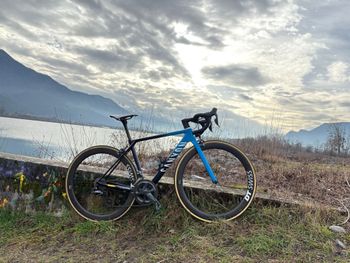 Canyon, Ultimate CF SLX 8.0 Di2 2020