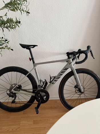 Canyon, Endurace CF SL 7 Disc 2021