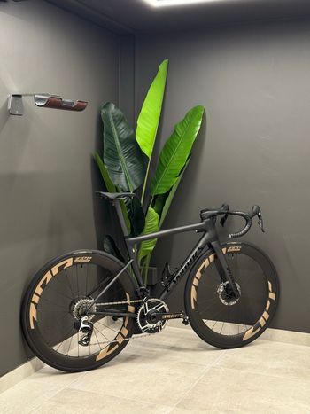 Specialized, S-Works Tarmac SL8 - SRAM RED AXS 2026