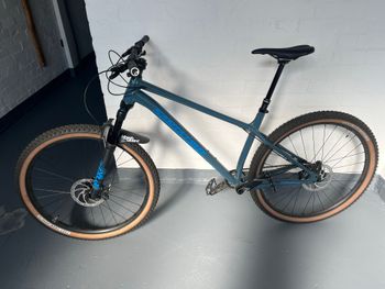 Santa Cruz, CHAMELEON R / AL / MX 2022