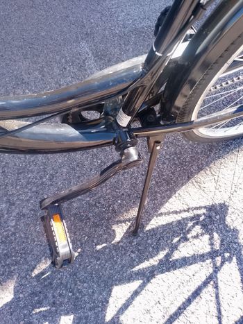 Cicli Adriatica, Cicli Adriatica Custom