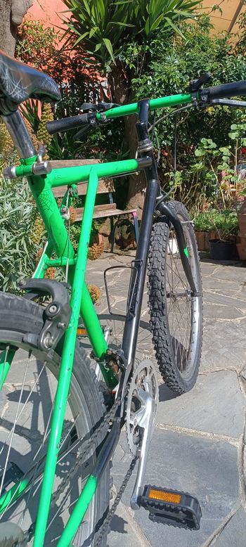Bianchi, Ragno