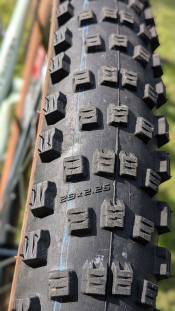 Used Production Privée Shan GT Limited Explorer 2021 2021 Mountainbike, Green, 29 — image 8 of 8