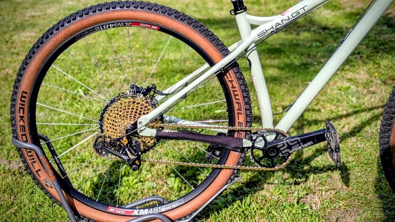 Used Production Privée Shan GT Limited Explorer 2021 2021 Mountainbike, Green, 29 — image 3 of 8