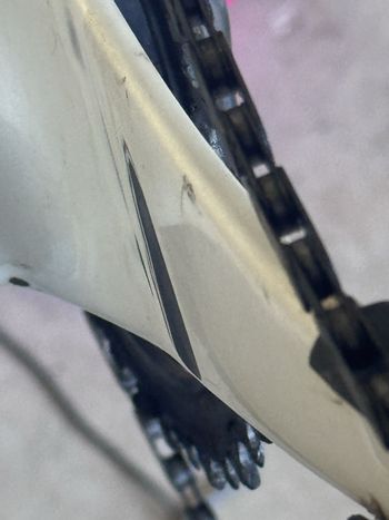Used Lauf Seigla - Frameset 2025 Frameset 2025 Road & Gravel, White — image 18 of 18