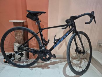 Giant, TCR Advanced 2 2025