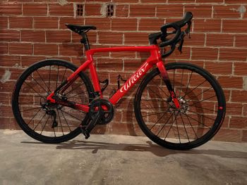 Wilier, CENTO10 SL SHIMANO ULTEGRA R8000 (BR-R8010-F) 2023