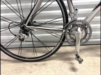Used Trek Madone 5.1 WSD 2008 2008 Road & Gravel, Light Gray — image 2 of 16