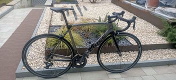 CIÖCC, Morpho Shimano Ultegra