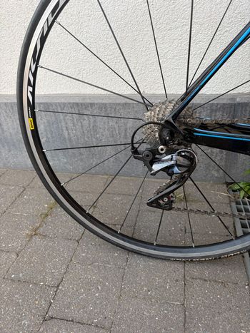 Used Flanders Flanders Custom Shimano Ultegra 2016 Road & Gravel — image 2 of 10