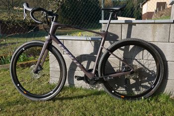 Giant, Revolt Advanced 0 2023