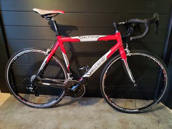 Daccordi, Daccordi Custom Campagnolo Chorus