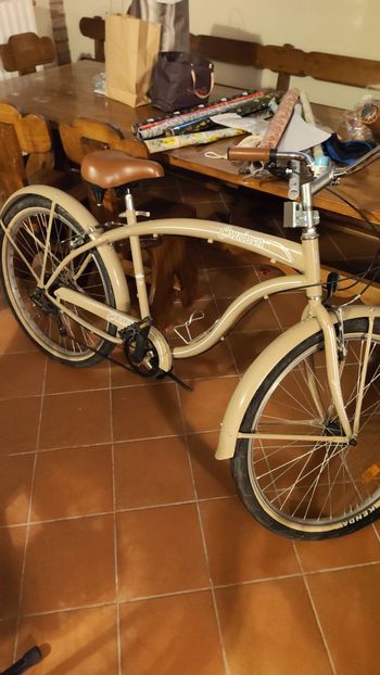 cruiser, Cruiser Custom