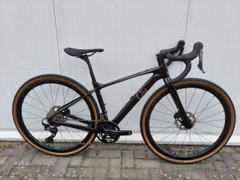 Liv, Devote Advanced 0 2025
