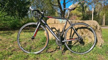Canyon, Canyon Roadlite AL 7.0 2014