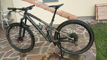 Trek, Fuel EX 8 29 2019