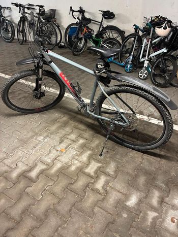 Marin, Marin Bobcat LTD Alivio