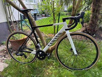 Canyon, Ultimate CF SL 7 eTap 2023
