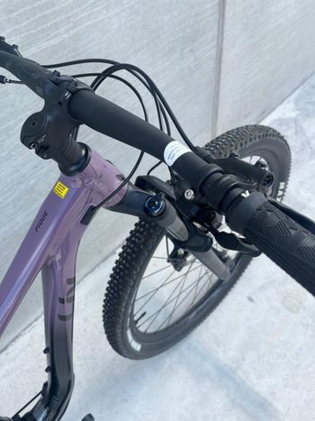 Used Liv Pique 29 2 2022 2022 Mountainbike, Purple, 29 — image 4 of 9