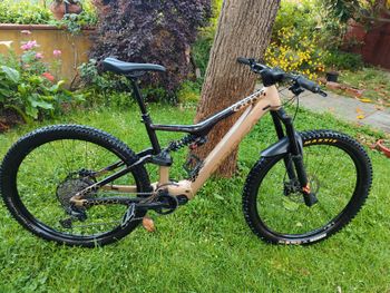 Orbea, Rise Shimano Deore