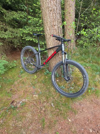 Trek, Roscoe 6 2021