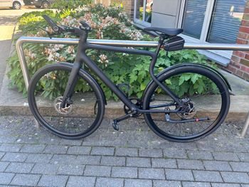 Urwahn, Platzhirsch - Kettenschaltung - Pedalec - Frameheight "S"