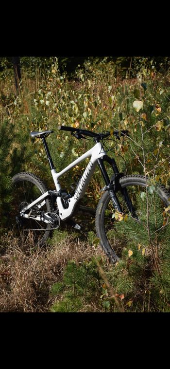 Specialized, Enduro Comp 2024