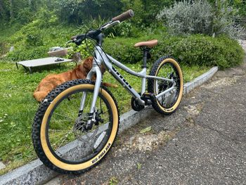 Vitus, Vitus Custom