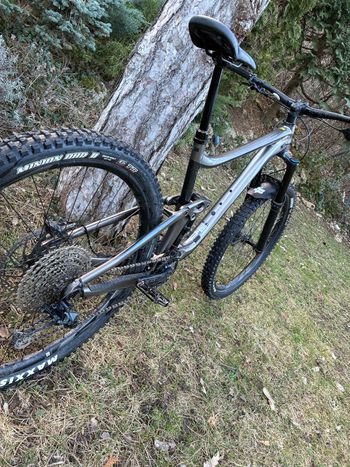 Giant, Reign 2 2023