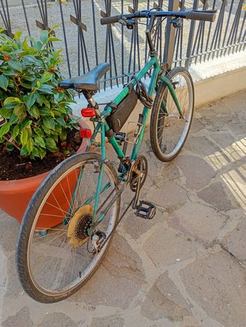 cicli groppo, Cicli groppo Custom Shimano Tourney