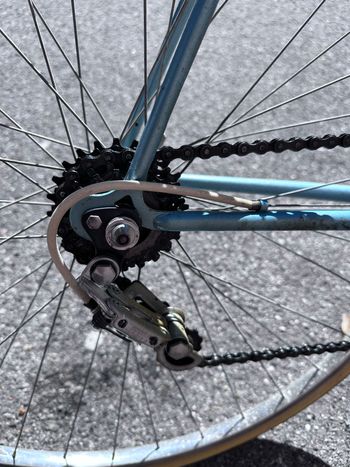 Used bici per Eroica Bici per Eroica Custom Campagnolo Veloce 1980 Road & Gravel, Azul — image 3 of 7