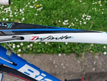 Used Bianchi Bianchi Infinito 2012 Road & Gravel, Blau — image 4 of 7