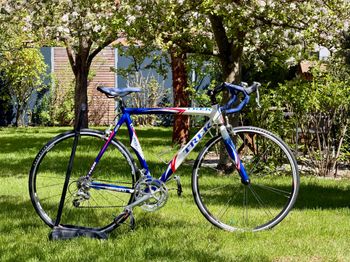 Used Trek OCLV Carbon 120 Bontrager Madone 2005 Road & Gravel, Blue — image 1 of 20