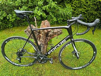 Focus, PARALANE Ultegra 2018